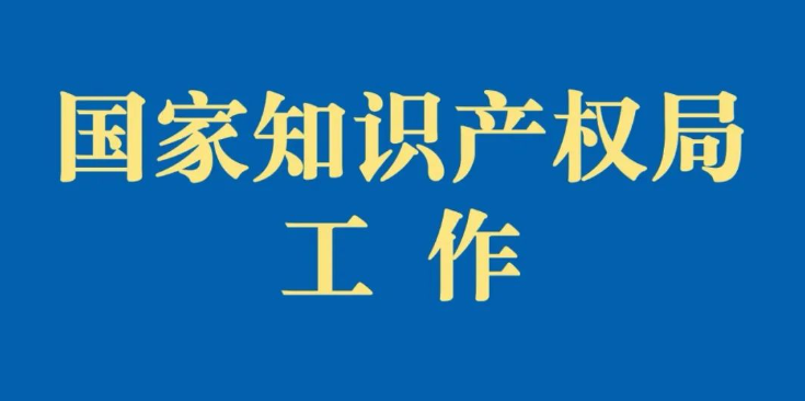 國家知識產權局依法依規(guī)開展嚴重違法失信行為懲戒工作
