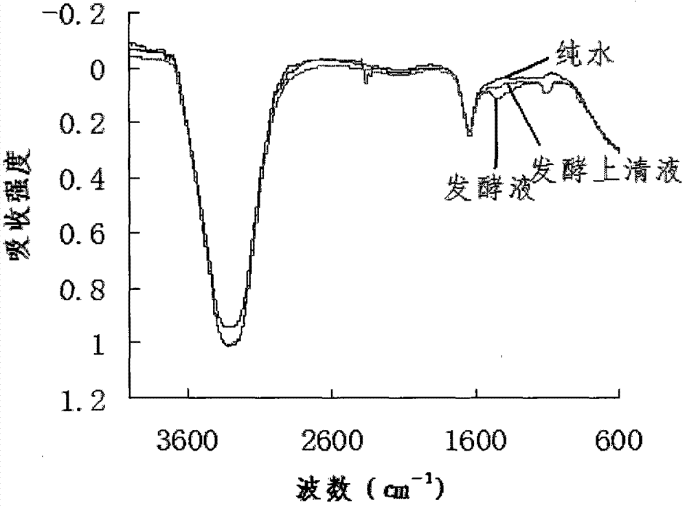 鳥(niǎo)苷發(fā)酵過(guò)程紅外指紋圖譜的構(gòu)建方法
