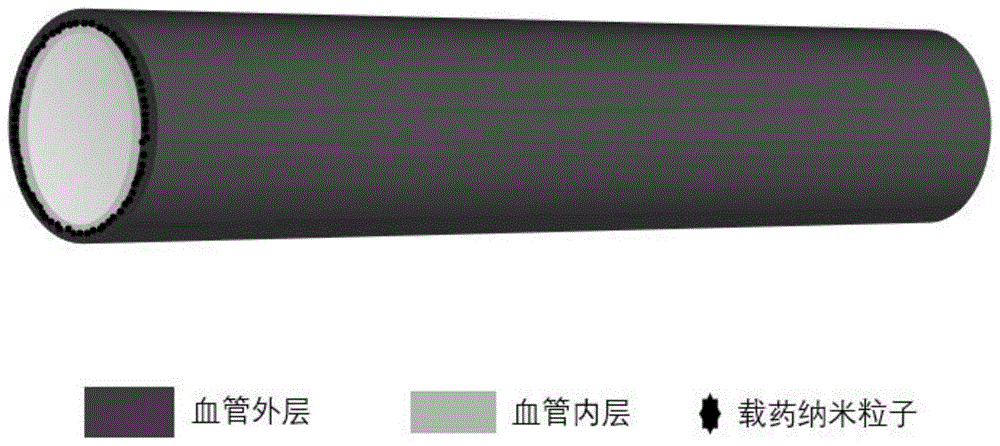 具有促內(nèi)皮化及抗凝雙功能的人工血管及制備方法、用途