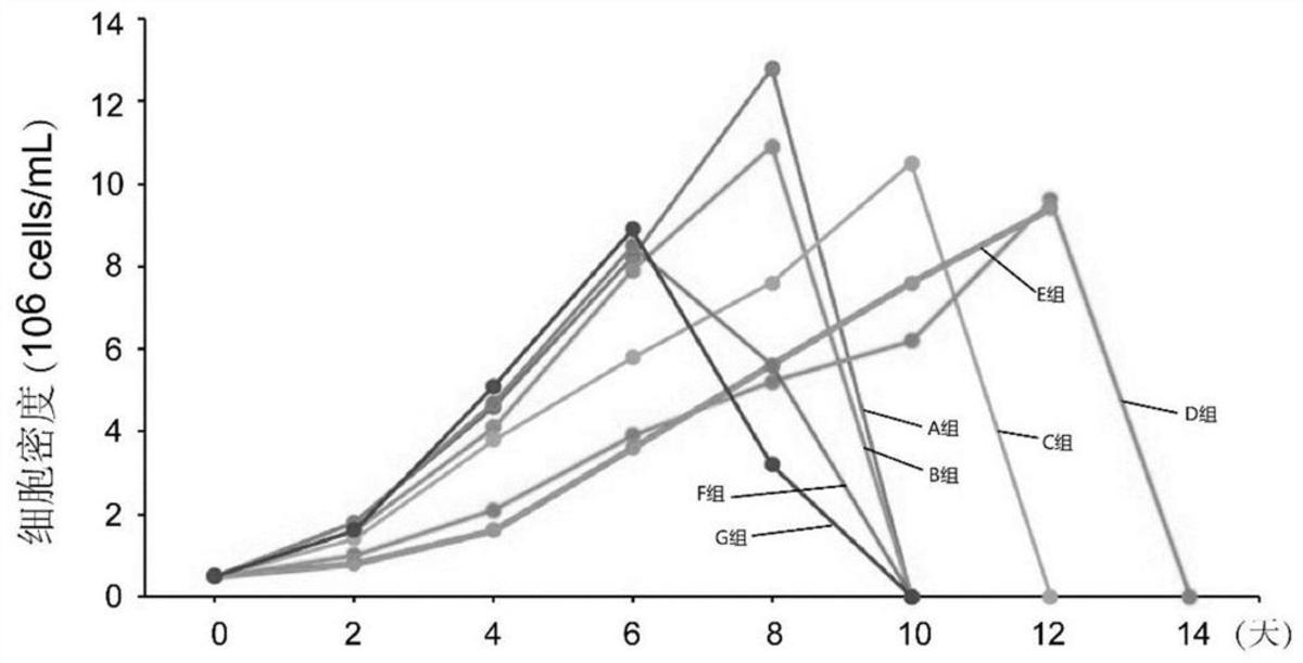 小分子肽及其應(yīng)用、細(xì)胞培養(yǎng)基、核酸分子
