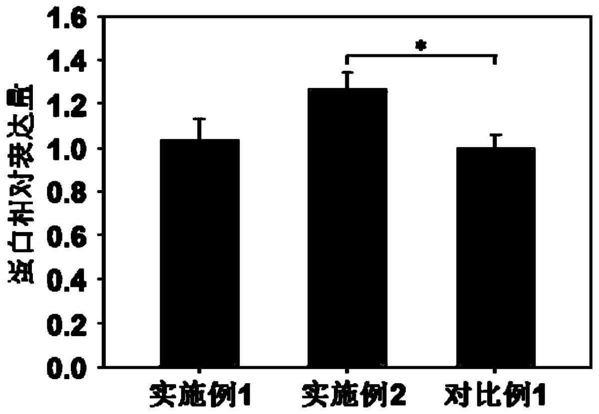 一種無血清無蛋白CHO細胞培養(yǎng)基及其制備方法、應用