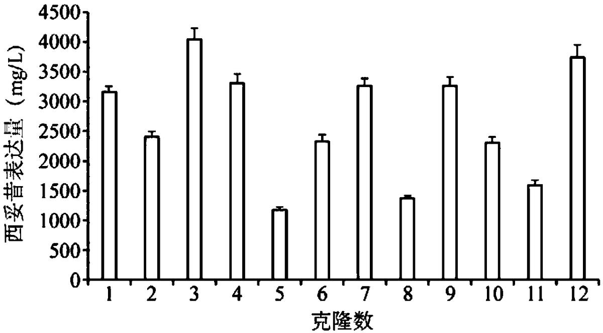 一種人工合成的MAR共有序列、表達載體、表達系統(tǒng)及其應用