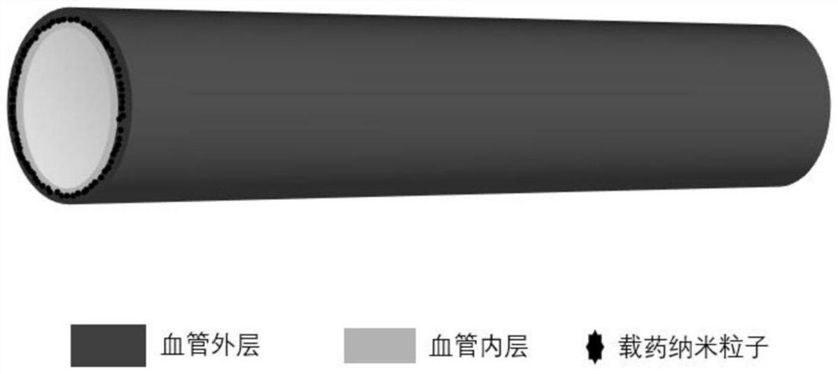 具有促內(nèi)皮化及抗凝雙功能的人工血管及制備方法、用途